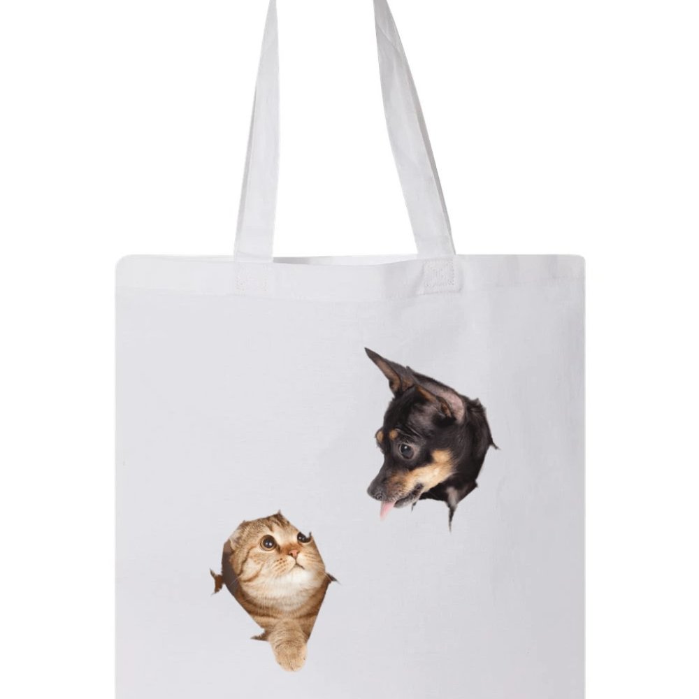 Cat And Dog